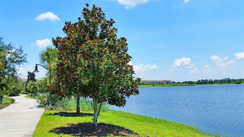 Willa Vista Cay 1 Orlando Zewnętrze zdjęcie